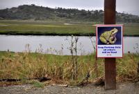 Frog Parking